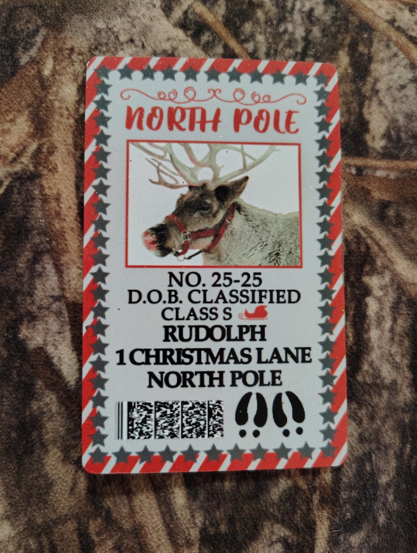 Reindeer Flying Permit